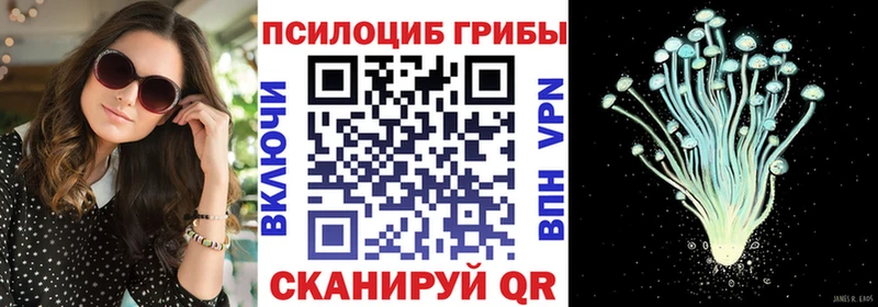 Галлюциногенные грибы прущие грибы  OMG tor  Тамбов  магазин продажи  