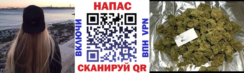Бошки Шишки план  закладка  Тамбов 